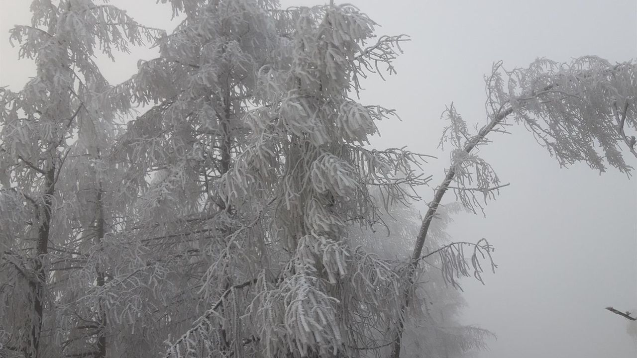 20201220_150526_resized 20201220_150526_resized